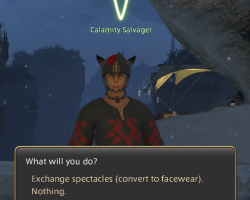 Facewear Accessories - Exchange Spectacles